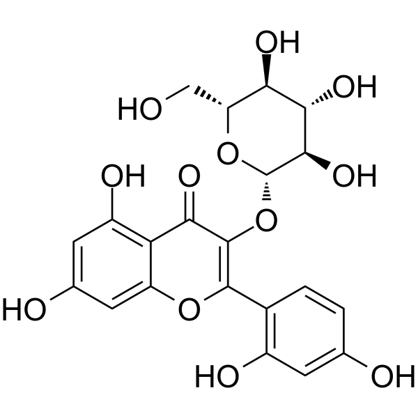 Morin 3-O-β-D-glucopyranoside 1169766-14-6